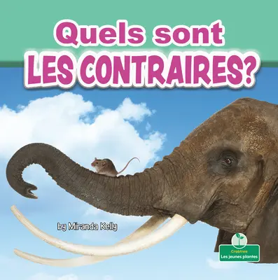 Quels Sont Les Contraires? (Co jsou protiklady?) - Quels Sont Les Contraires? (What Are Opposites?)