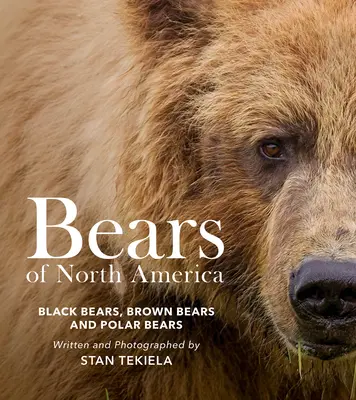 Medvědi Severní Ameriky: Medvědi černí, medvědi hnědí a medvědi lední: průvodce Severní Ameriky. - Bears of North America: Black Bears, Brown Bears, and Polar Bears