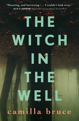 Čarodějnice ve studni - The Witch in the Well