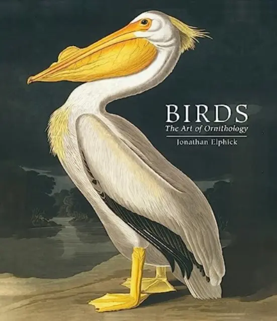Ptáci - Umění ornitologie (kapesní vydání) - Birds - The Art of Ornithology (Pocket edition)