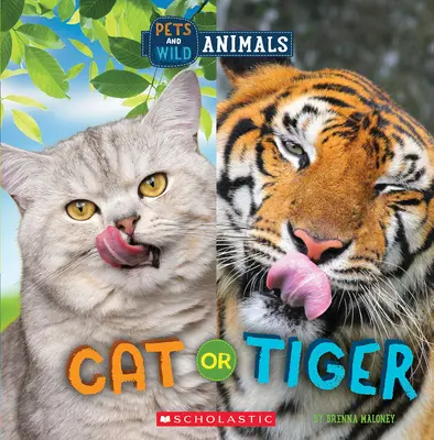 Kočka nebo tygr (Divoký svět: Domácí zvířata a divoká zvířata) - Cat or Tiger (Wild World: Pets and Wild Animals)