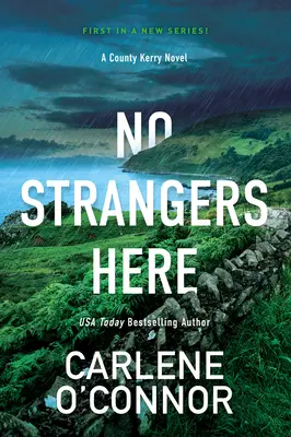 Žádní cizinci zde: Strhující irský thriller - No Strangers Here: A Riveting Irish Thriller