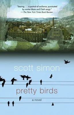 Pěkní ptáci - Pretty Birds