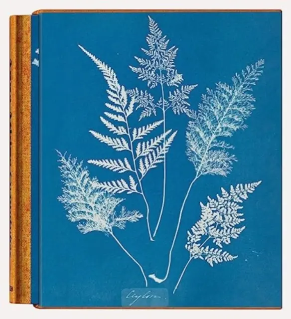 Anna Atkinsová. Cyanotypie - Anna Atkins. Cyanotypes
