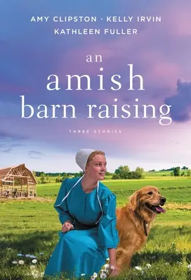 Amišské vychovávání ve stodole: Tři příběhy - An Amish Barn Raising: Three Stories