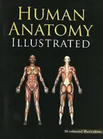 Ilustrovaná anatomie člověka - Human Anatomy Illustrated