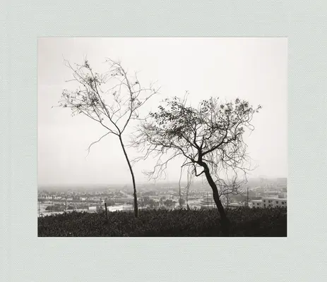 Robert Adams: Adams: Losangeleské jaro - Robert Adams: Los Angeles Spring