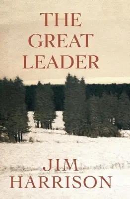 Velký vůdce: Umělá záhada - The Great Leader: A Faux Mystery