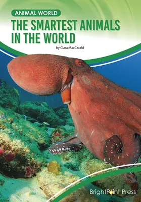 Nejchytřejší zvířata na světě - The Smartest Animals in the World