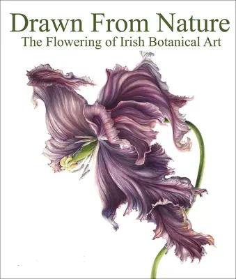 Čerpáno z přírody: Květ irského botanického umění - Drawn from Nature: The Flowering of Irish Botanical Art
