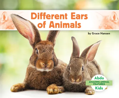 Různé uši zvířat - Different Ears of Animals