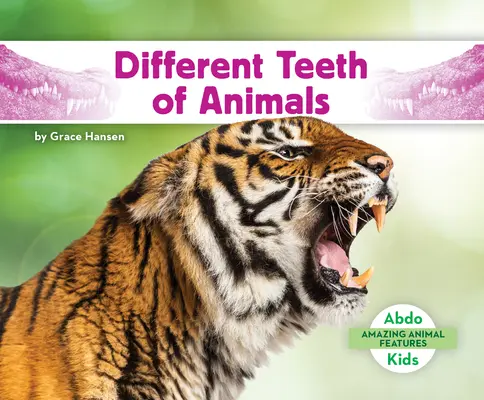 Různé zuby zvířat - Different Teeth of Animals