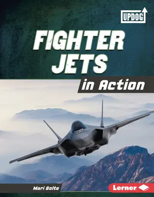 Stíhací letouny v akci - Fighter Jets in Action