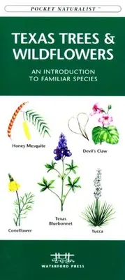 Ptáci Virginie: Skládací kapesní průvodce po známých druzích - Virginia Birds: A Folding Pocket Guide to Familiar Species