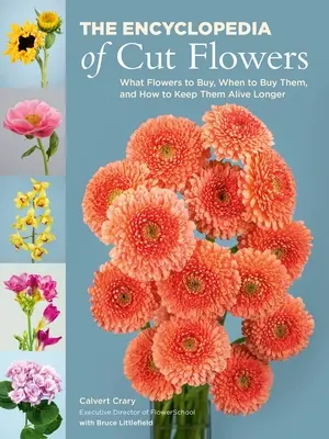 Encyklopedie řezaných květin: Jaké květiny kupovat, kdy je kupovat a jak je udržet déle naživu? - The Encyclopedia of Cut Flowers: What Flowers to Buy, When to Buy Them, and How to Keep Them Alive Longer