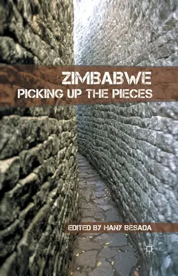 Zimbabwe: Sbírání kousků - Zimbabwe: Picking Up the Pieces
