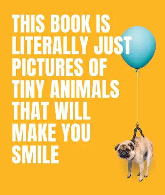 Tato kniha je doslova plná obrázků drobných zvířat, které vás rozesmějí - This Book Is Literally Just Pictures of Tiny Animals That Will Make You Smile