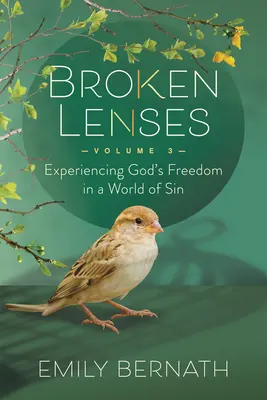 Rozbité čočky 3. díl: Prožívání Boží svobody ve světě hříchu - Broken Lenses Volume 3: Experiencing God's Freedom in a World of Sin