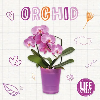 Orchideje - Orchid
