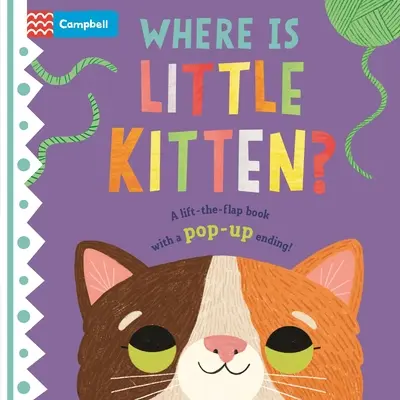 Kde je malé koťátko?: Zvedací knížka s vyskakovacím koncem! - Where Is Little Kitten?: The Lift-The-Flap Book with a Pop-Up Ending!
