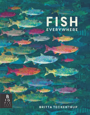 Ryby všude - Fish Everywhere
