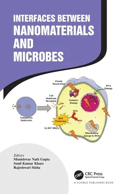 Rozhraní mezi nanomateriály a mikroby - Interfaces Between Nanomaterials and Microbes