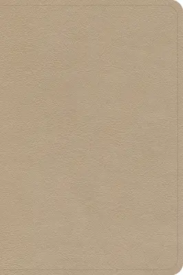 Kompaktní referenční bible CSB s velkým výtiskem, zlatá Leathertouch - CSB Large Print Compact Reference Bible, Gold Leathertouch