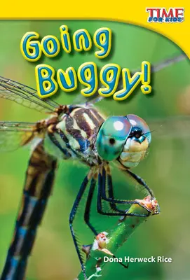 Jdeme na to s brouky! - Going Buggy!