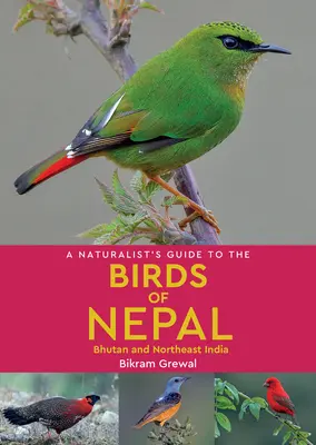 Přírodovědný průvodce ptáky Nepálu - A Naturalist's Guide to the Birds of Nepal