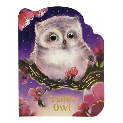 Malá sova - A Little Owl