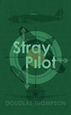 Zbloudilý pilot - Stray Pilot