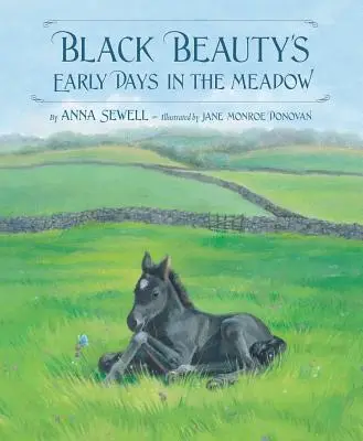 Rané dny Černé krásky na louce - Black Beauty's Early Days in the Meadow