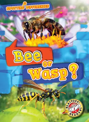 Včela nebo vosa? - Bee or Wasp?