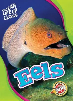 Úhoři - Eels