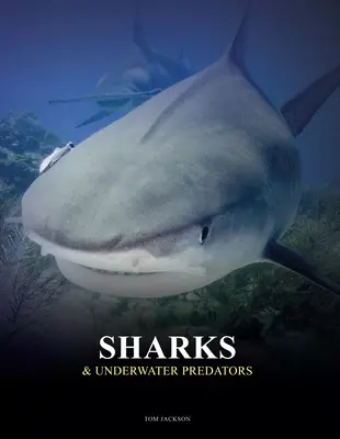 Žraloci a podvodní dravci - Sharks & Underwater Predators