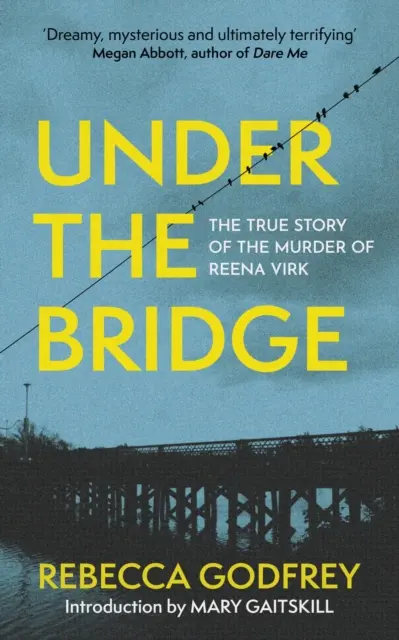 Pod mostem - Skutečný příběh vraždy Reeny Virk - Under the Bridge - The True Story of the Murder of Reena Virk