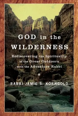 Bůh v poušti: Kniha: Znovuobjevení spirituality velkého venkova s dobrodružným rabínem - God in the Wilderness: Rediscovering the Spirituality of the Great Outdoors with the Adventure Rabbi