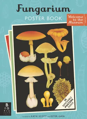 Plakátová kniha Fungarium - Fungarium Poster Book