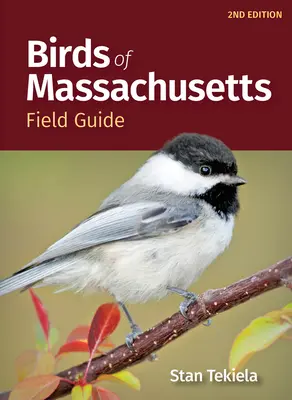 Ptáci státu Massachusetts - terénní průvodce - Birds of Massachusetts Field Guide