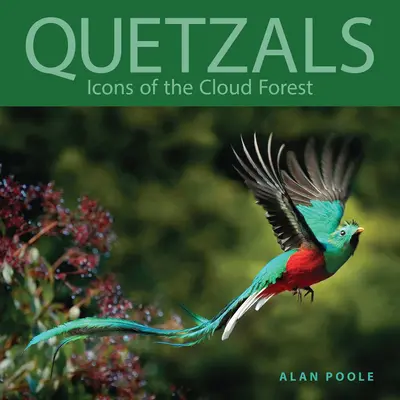 Quetzals: Ikony mračného lesa - Quetzals: Icons of the Cloud Forest