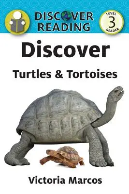 Objevte želvy a želváky - Discover Turtles & Tortoises