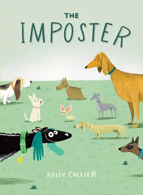Podvodník - The Imposter
