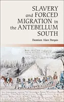 Otroctví a nucená migrace na Jihu v období před koncem minulého století - Slavery and Forced Migration in the Antebellum South