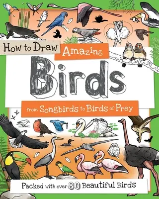 Jak nakreslit úžasné ptáky: Od zpěvných ptáků po dravce: Jak nakreslit dravce? - How to Draw Amazing Birds: From Songbirds to Birds of Prey