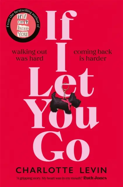 Když tě nechám jít - Srdcervoucí a šokující kniha, kterou si vybral Richard and Judy Book Club - If I Let You Go - The Heartbreaking, Shocking Richard and Judy Book Club Pick