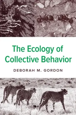 Ekologie kolektivního chování - The Ecology of Collective Behavior