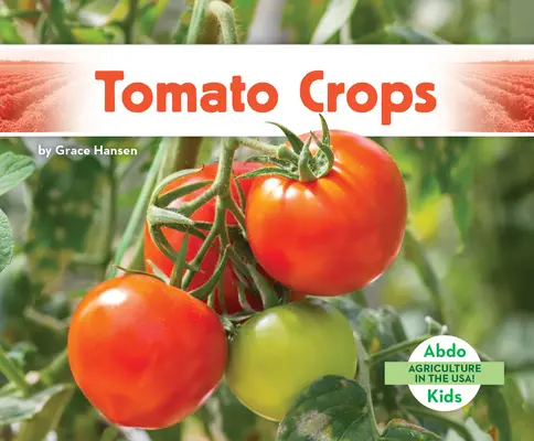 Pěstování rajčat - Tomato Crops