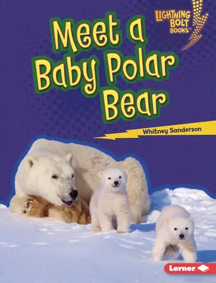 Seznamte se s malým ledním medvědem - Meet a Baby Polar Bear