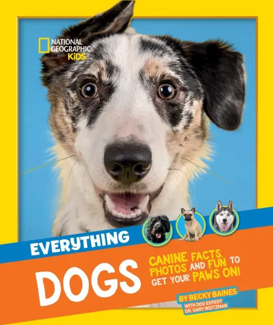 Všechno: Psi - psí fakta, fotografie a zábava, kterou si můžete vzít do tlapek! - Everything: Dogs - Canine Facts, Photos and Fun to Get Your Paws on!
