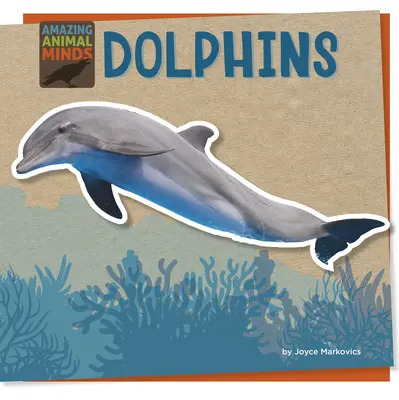 Delfíni - Dolphins